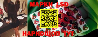 a pvp Камышлов
