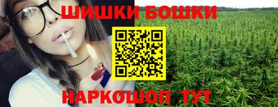a pvp Камышлов