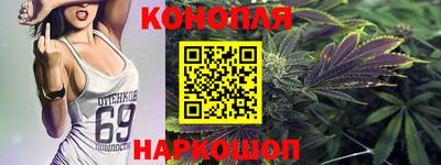 a pvp Камышлов