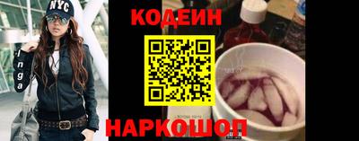 a pvp Камышлов