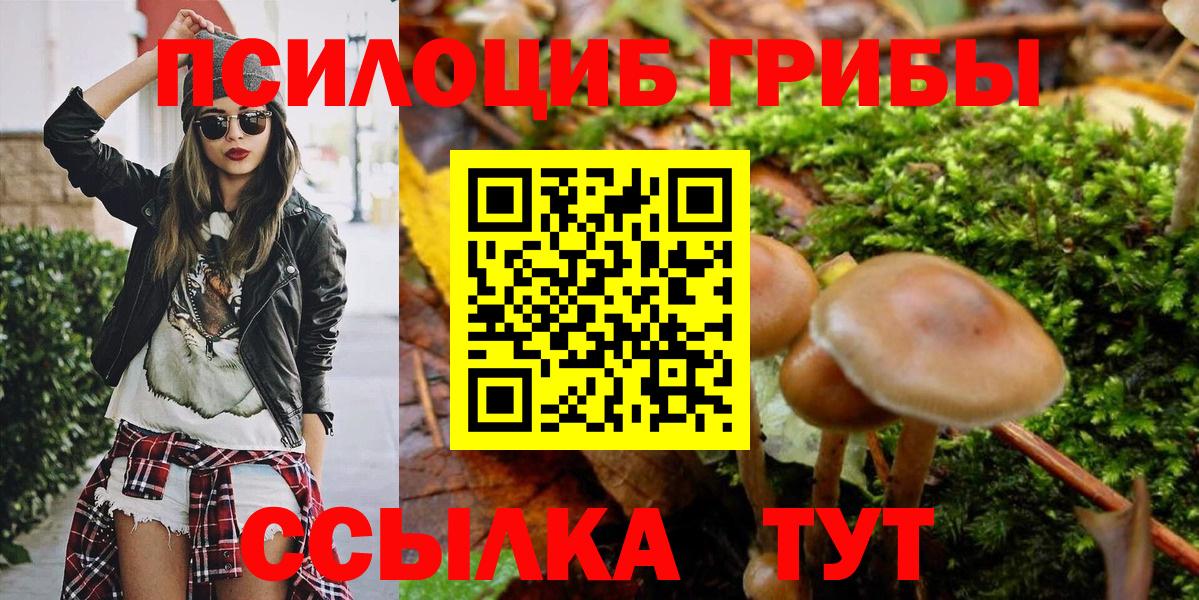 Галлюциногенные грибы GOLDEN TEACHER Кувандык