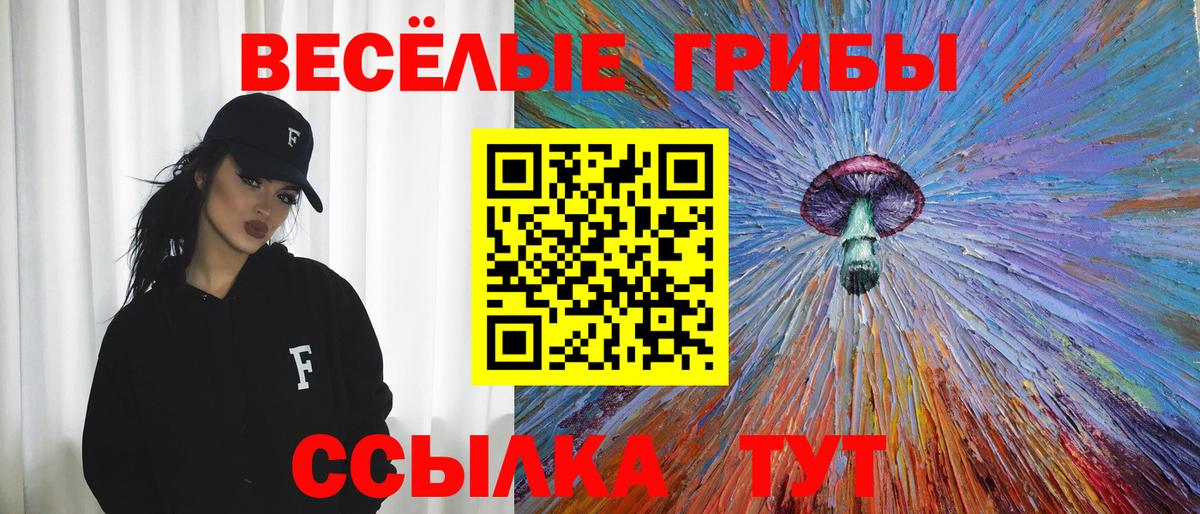 Кувандык  Псилоцибиновые грибы прущие грибы  Вход с VPN 